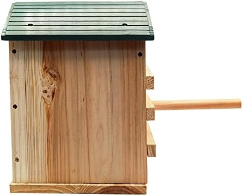 Къща сови Prolee Screech размер 14 x 10 инча ръчна изработка, с поставка за птици, кутия за сови от от кедрово дърво с крепежни