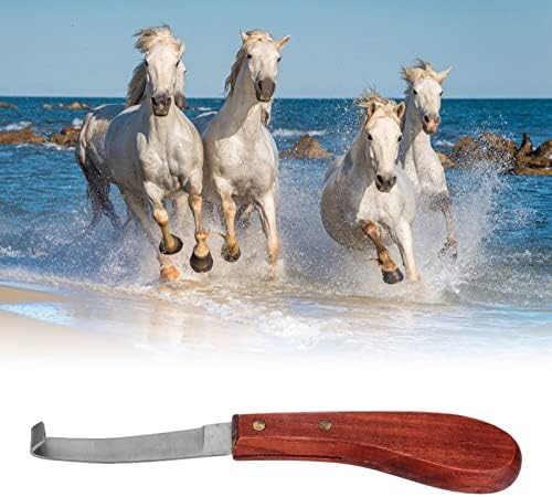 Нож за подрязване на копитата на кон, Стригане за изграждане на копитата на кон, Ножици За подрязване на копита, Ножица за нокти, Инструмент