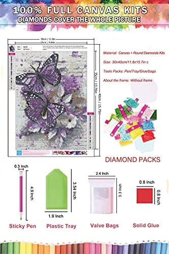 2 Опаковки диамант живопис - Комплекти за рисуване с диаманти САМ 5D за възрастни - Комплекти за диамантения на изкуството с кръгла пълна